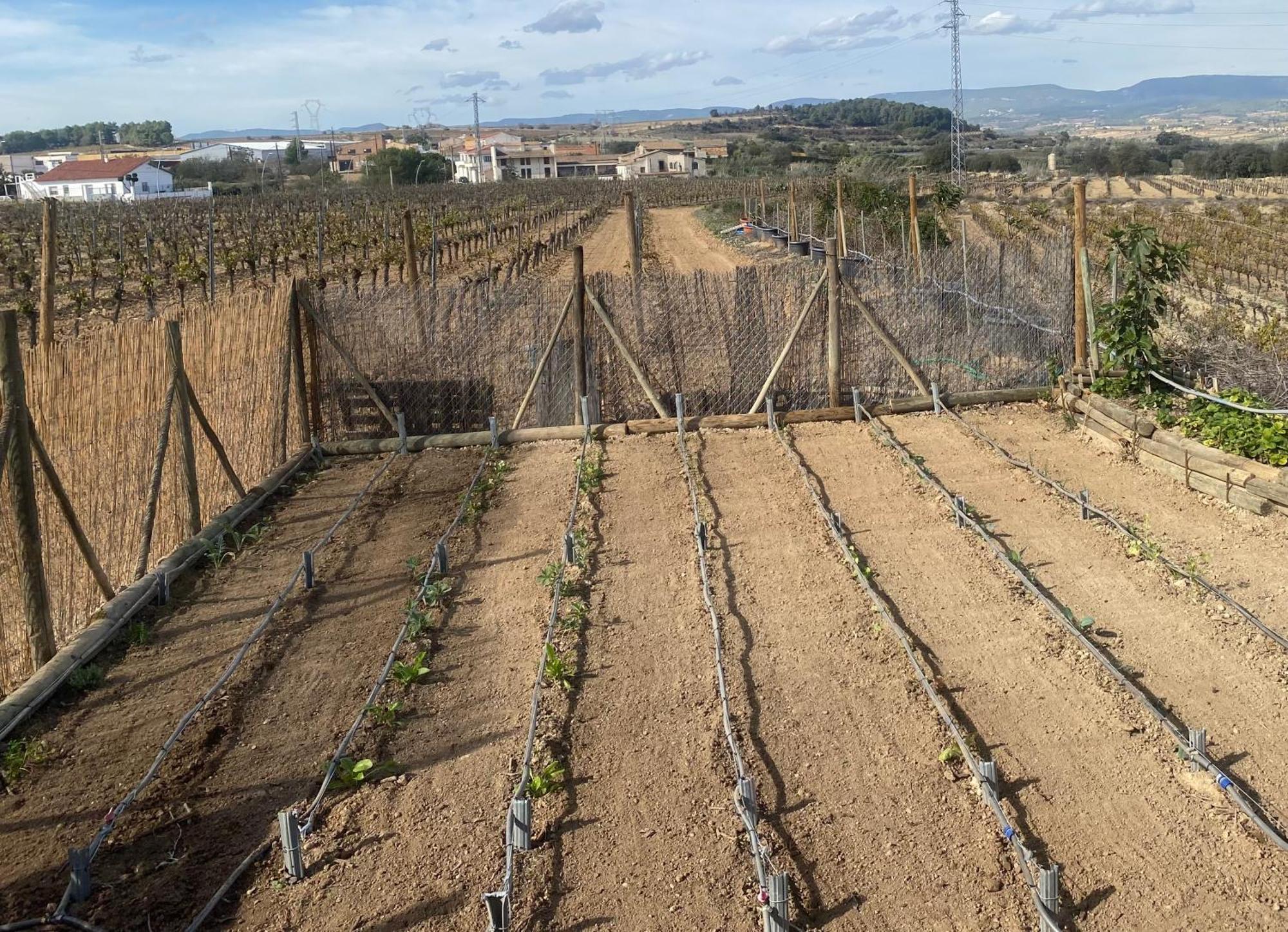 La Granada Cal Castla 빌라 외부 사진